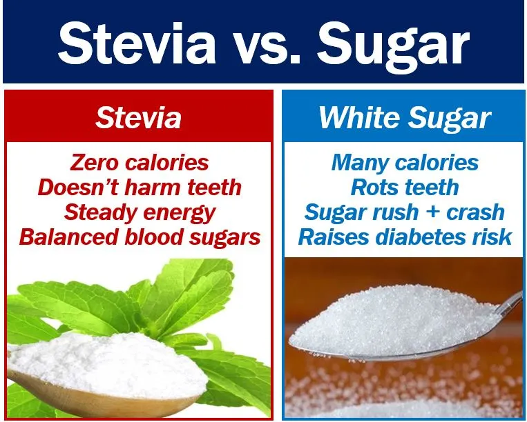 stevia vs sugar