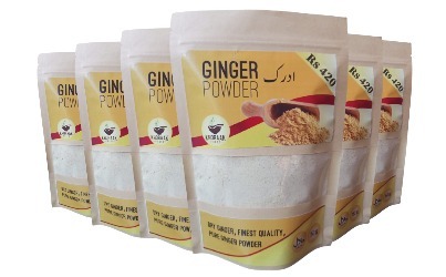 ginger powder in bulk