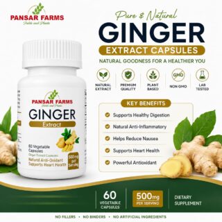 PANSAR FARMS Ginger Extract Capsules 500mg – 60 Vegetable Capsules